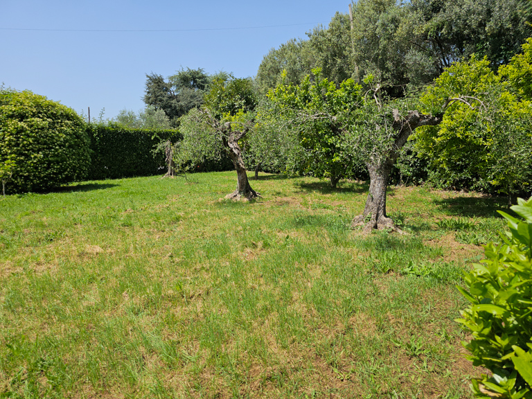 Image 17