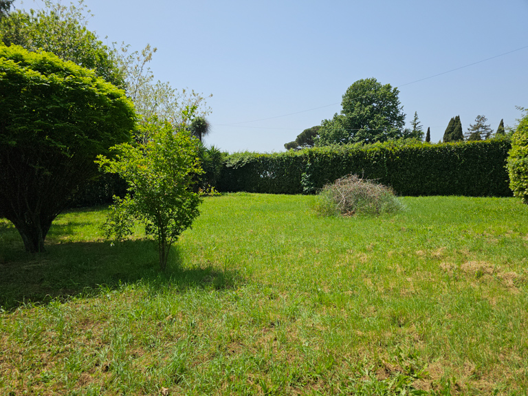 Image 18